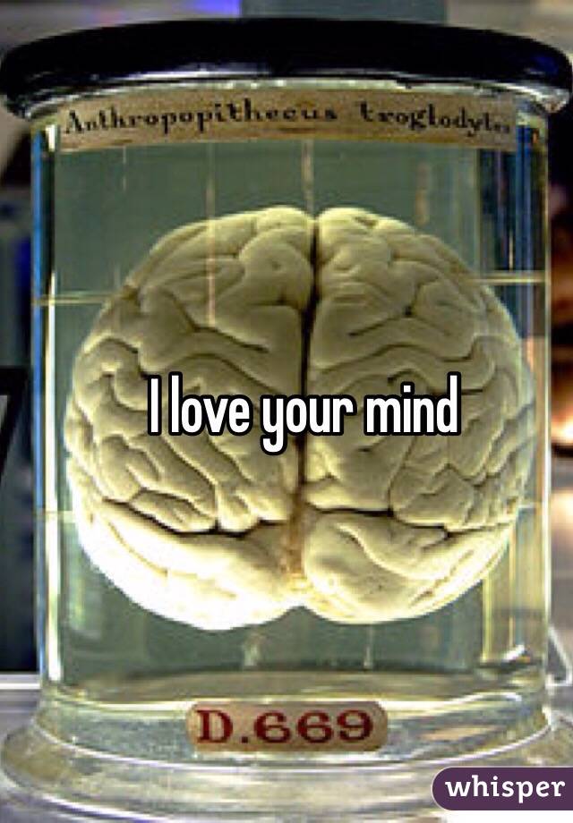 I love your mind