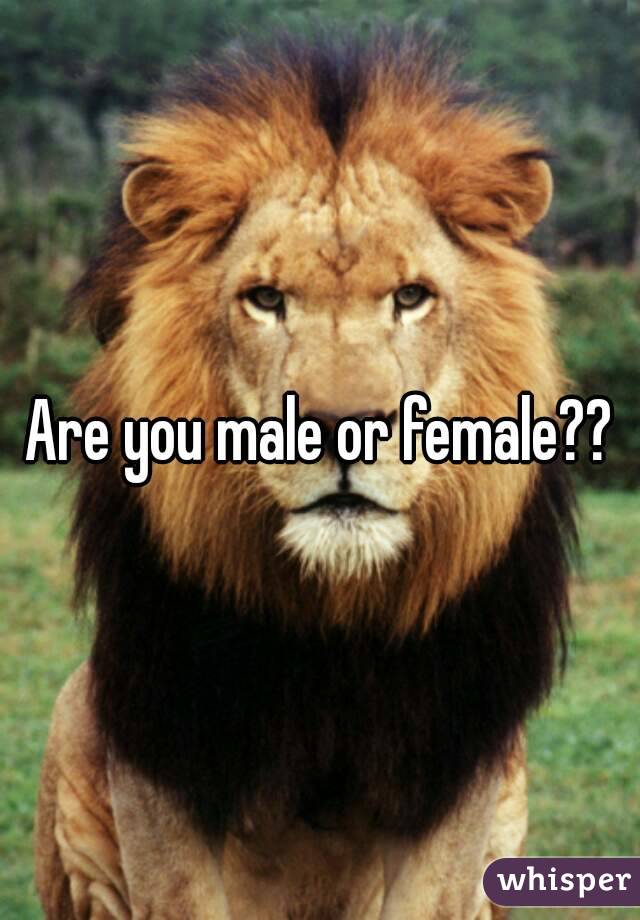 Are you male or female??