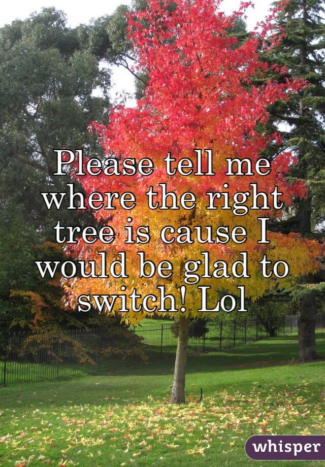 Please tell me where the right tree is cause I would be glad to switch! Lol