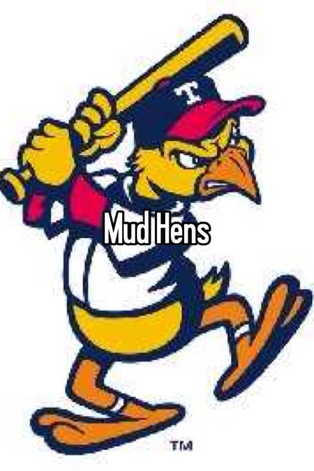 mud-hens