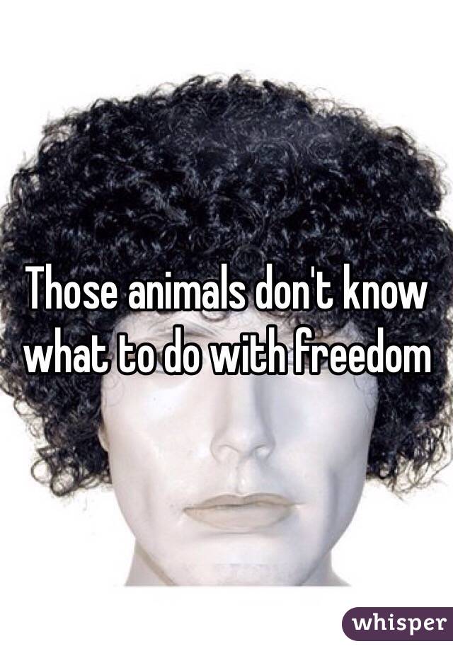 Those animals don't know what to do with freedom 