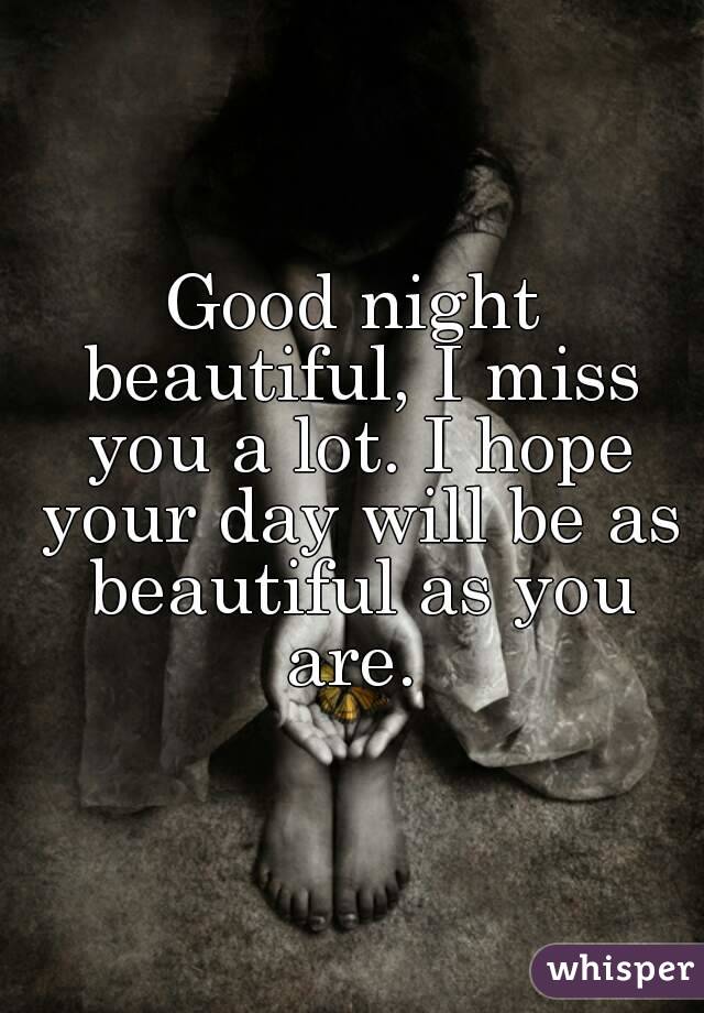 Good night beautiful, I miss you a lot. I hope your day will be as beautiful as you are. 