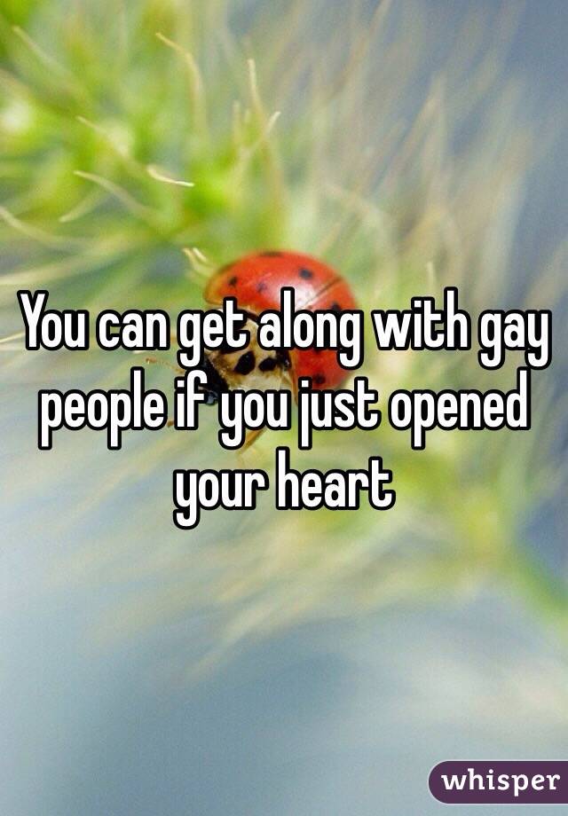 You can get along with gay people if you just opened your heart 