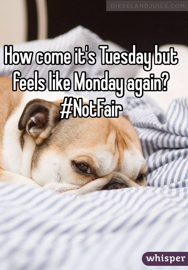 How come it's Tuesday but feels like Monday again? #NotFair