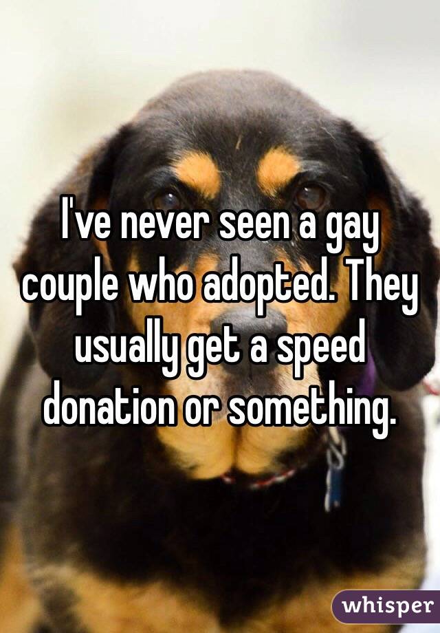 I've never seen a gay couple who adopted. They usually get a speed donation or something.