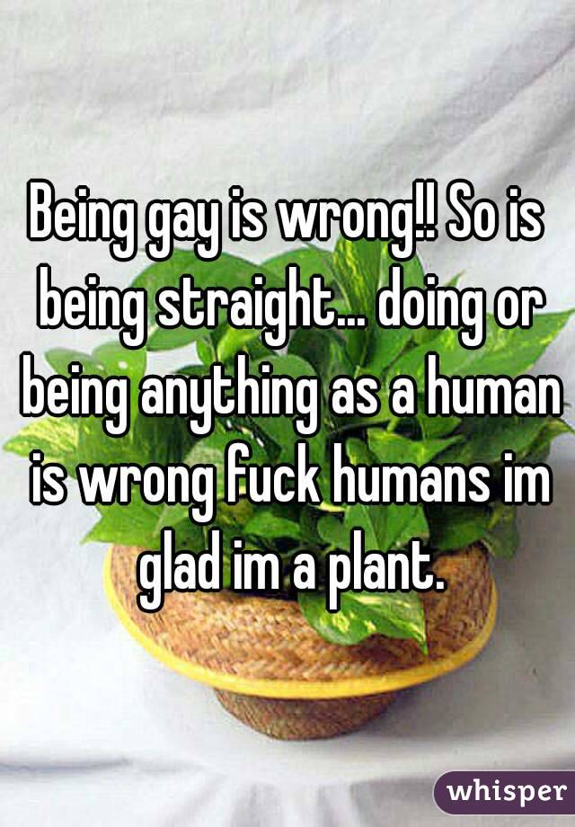 Being gay is wrong!! So is being straight... doing or being anything as a human is wrong fuck humans im glad im a plant.