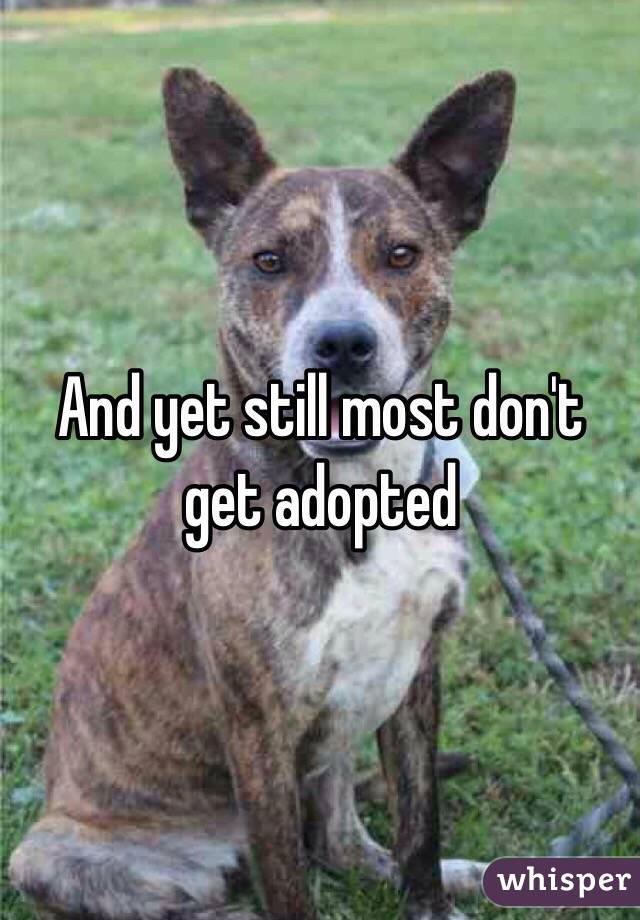 And yet still most don't get adopted