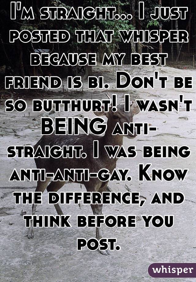 I'm straight... I just posted that whisper because my best friend is bi. Don't be so butthurt! I wasn't BEING anti-straight. I was being anti-anti-gay. Know the difference, and think before you post.