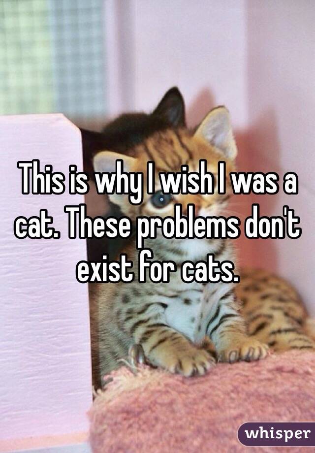 This is why I wish I was a cat. These problems don't exist for cats. 