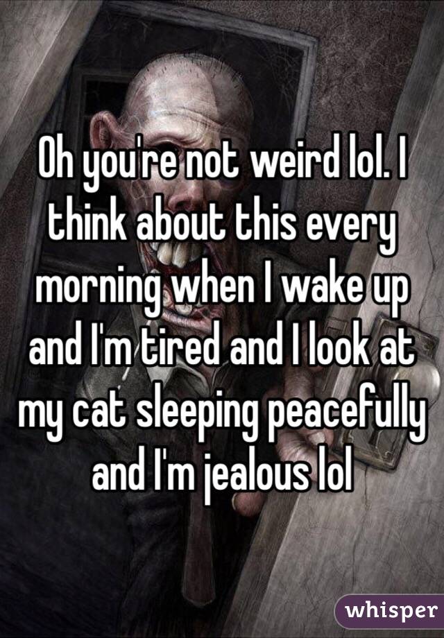 Oh you're not weird lol. I think about this every morning when I wake up and I'm tired and I look at my cat sleeping peacefully and I'm jealous lol 