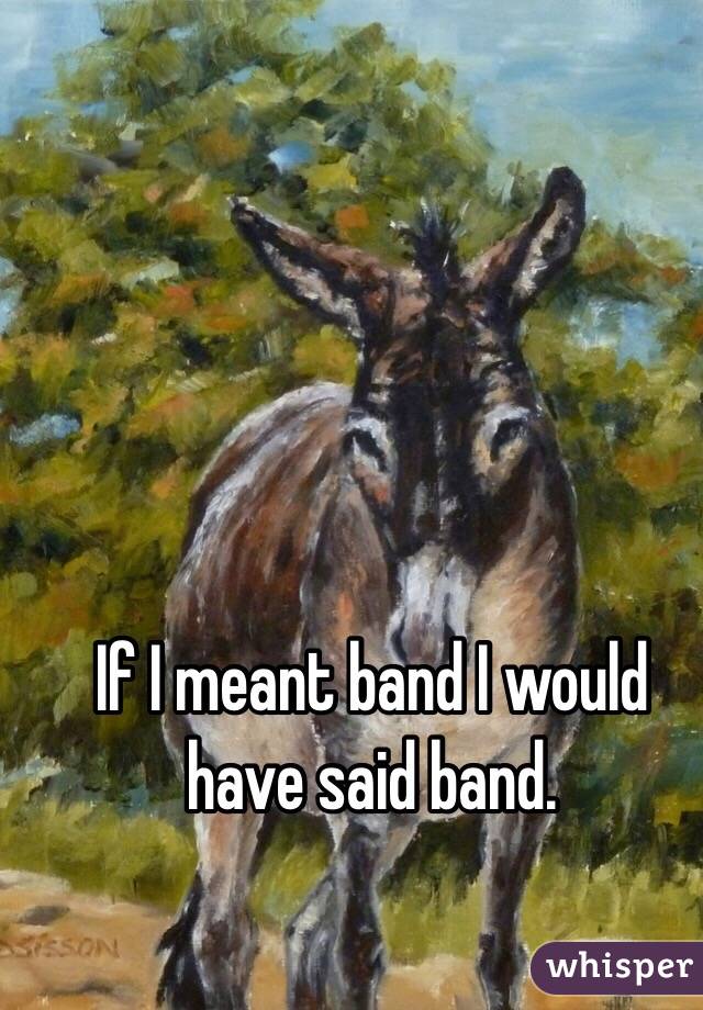 If I meant band I would have said band. 