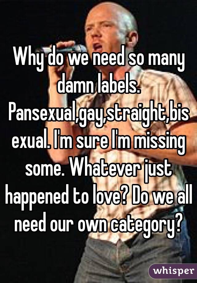 Why do we need so many damn labels. Pansexual,gay,straight,bisexual. I'm sure I'm missing some. Whatever just happened to love? Do we all need our own category?