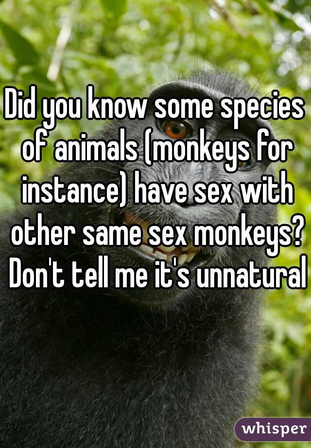 Did you know some species of animals (monkeys for instance) have sex with other same sex monkeys? Don't tell me it's unnatural 