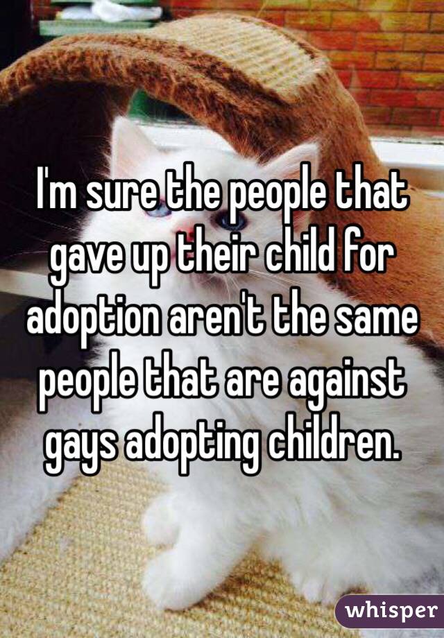 I'm sure the people that gave up their child for adoption aren't the same people that are against gays adopting children.