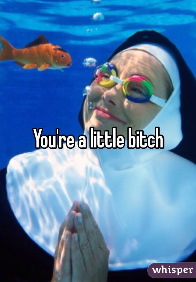 You're a little bitch