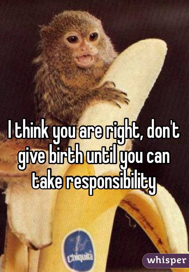 I think you are right, don't give birth until you can take responsibility 