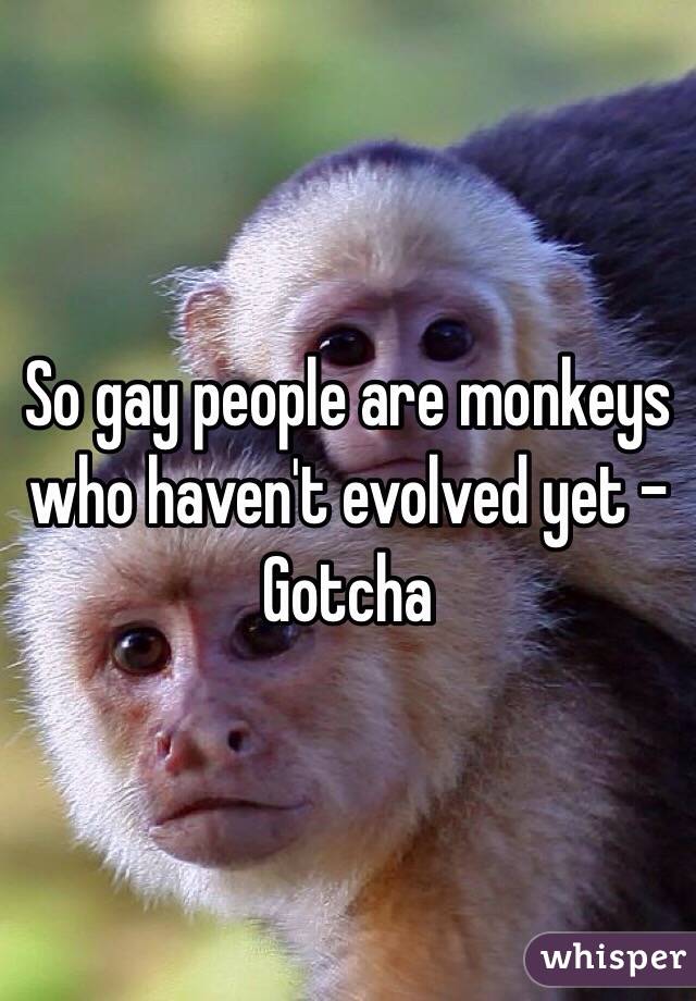 So gay people are monkeys who haven't evolved yet - Gotcha 