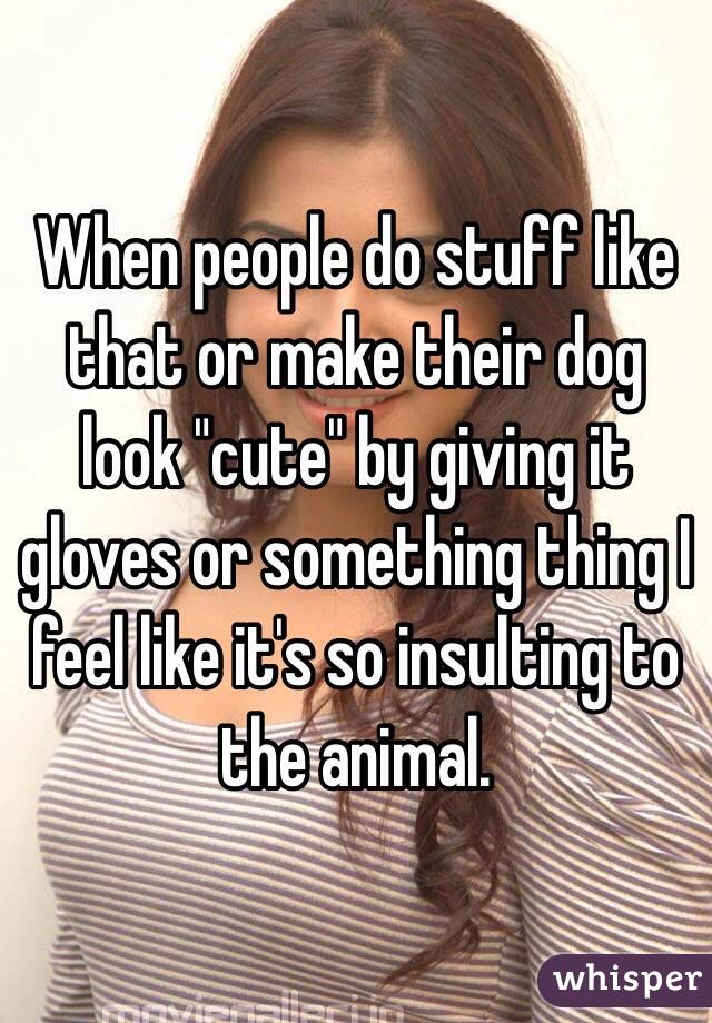 When people do stuff like that or make their dog look "cute" by giving it gloves or something thing I feel like it's so insulting to the animal.