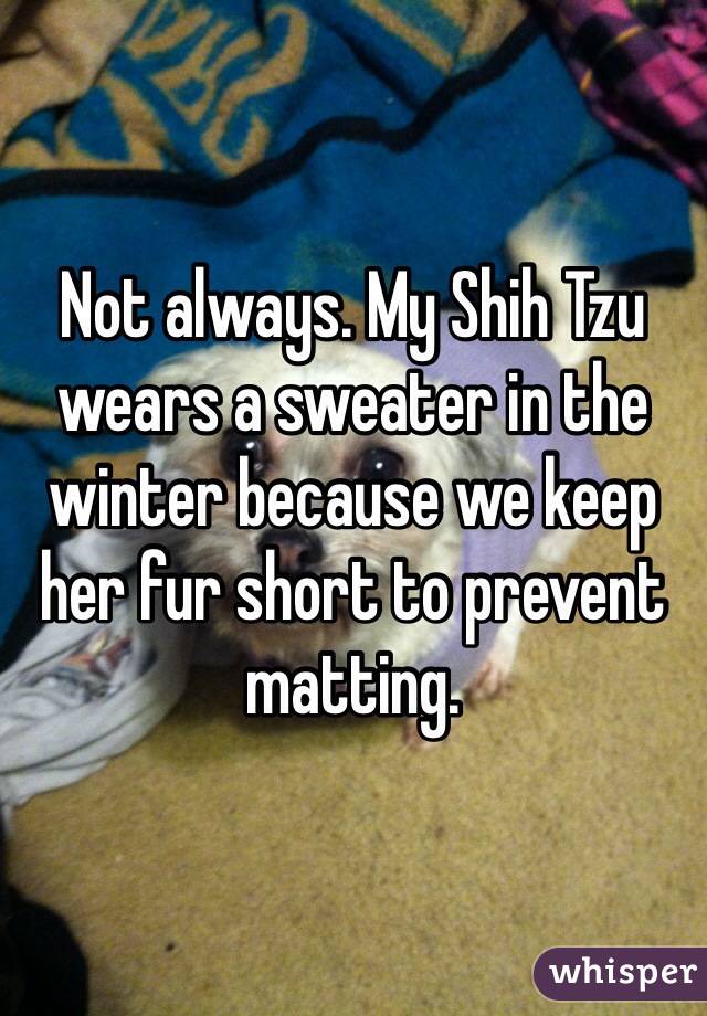 Not always. My Shih Tzu wears a sweater in the winter because we keep her fur short to prevent matting. 