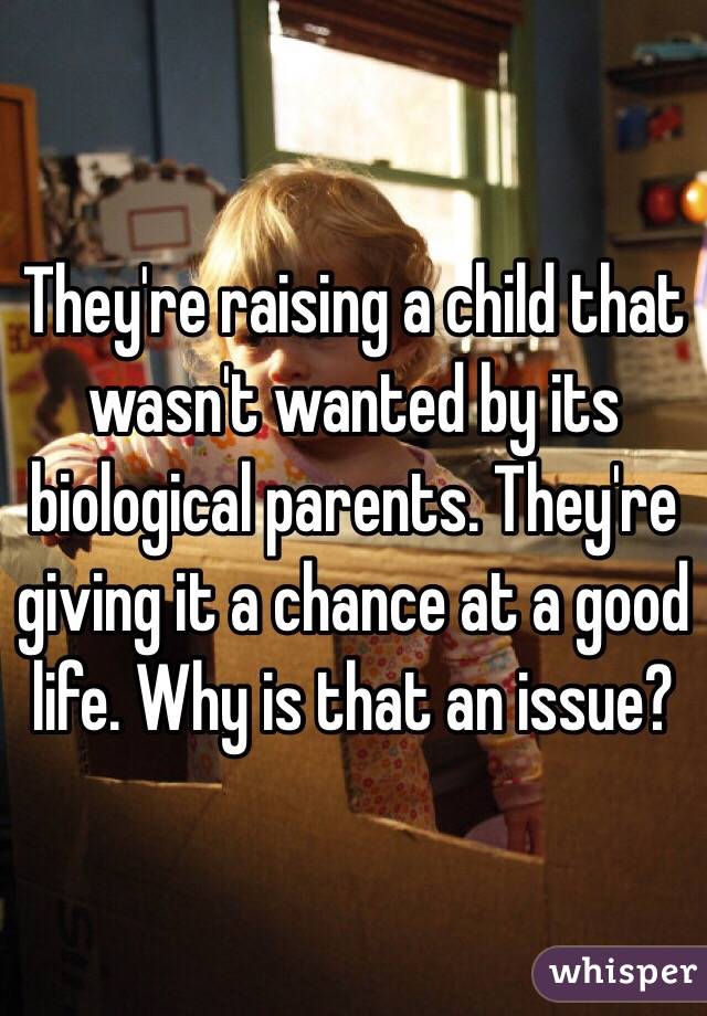 They're raising a child that wasn't wanted by its biological parents. They're giving it a chance at a good life. Why is that an issue?