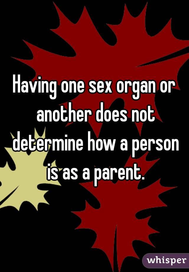 Having one sex organ or another does not determine how a person is as a parent.