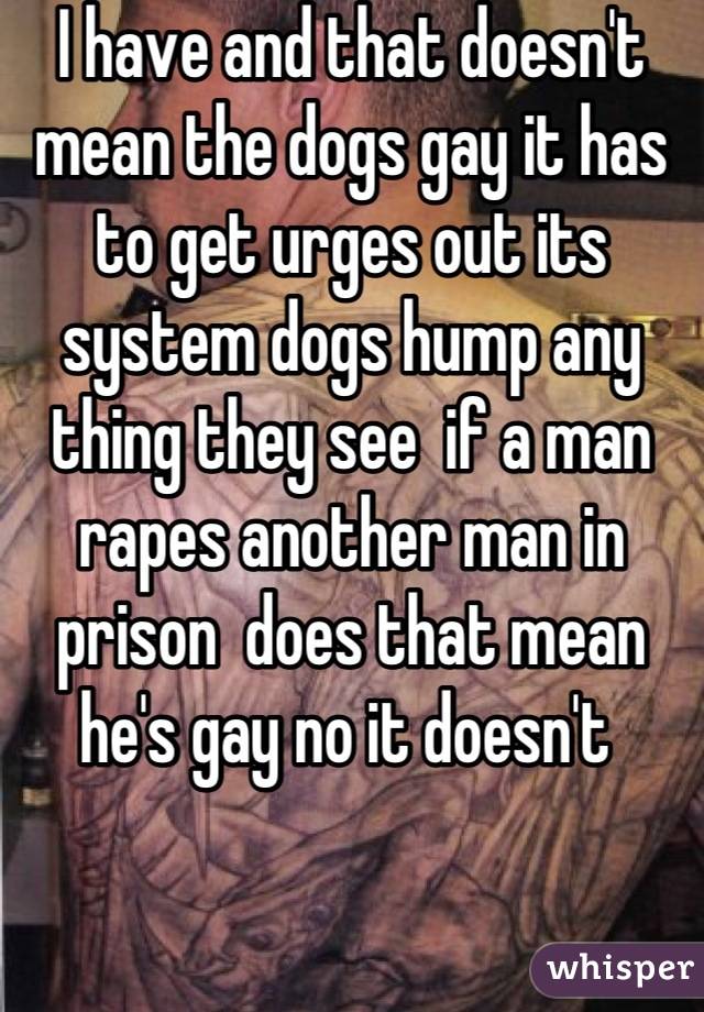 I have and that doesn't mean the dogs gay it has to get urges out its system dogs hump any thing they see  if a man rapes another man in prison  does that mean he's gay no it doesn't 