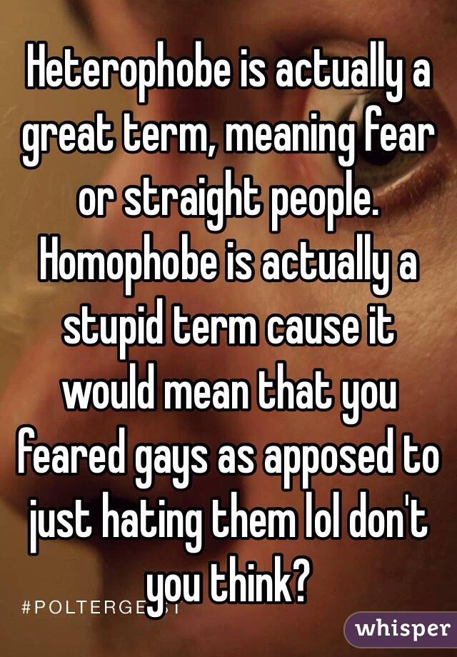 Heterophobe is actually a great term, meaning fear or straight people. Homophobe is actually a stupid term cause it would mean that you feared gays as apposed to just hating them lol don't you think?