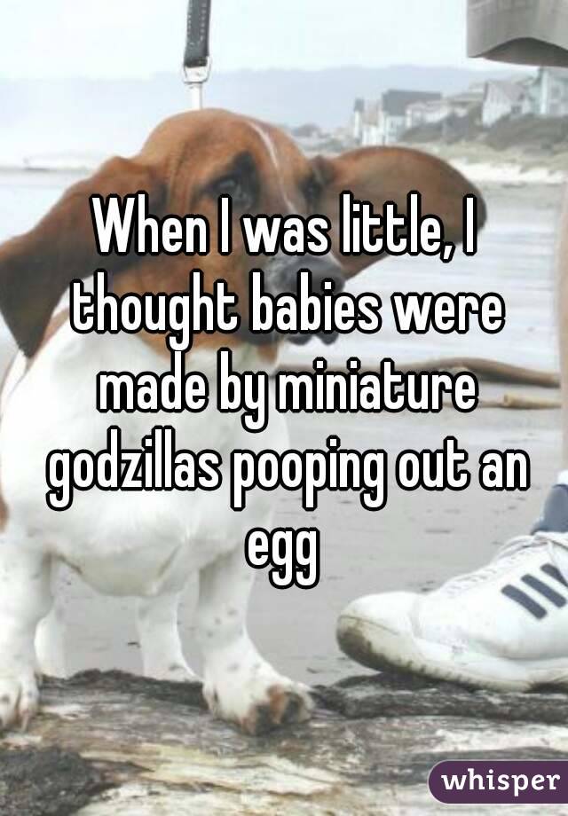 When I was little, I thought babies were made by miniature godzillas pooping out an egg 