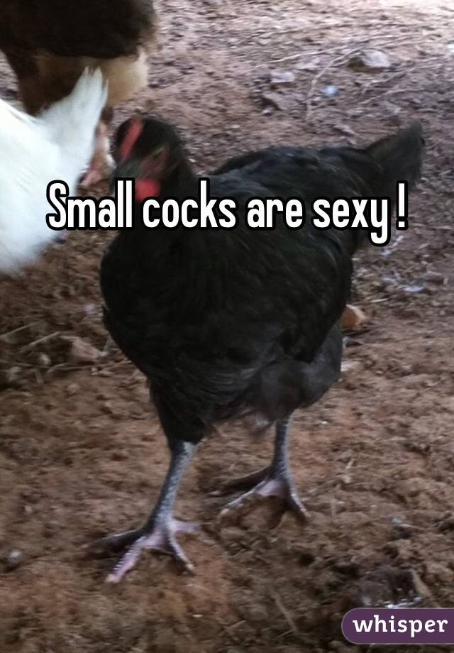 Small cocks are sexy !