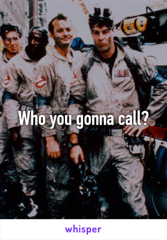 Who you gonna call?