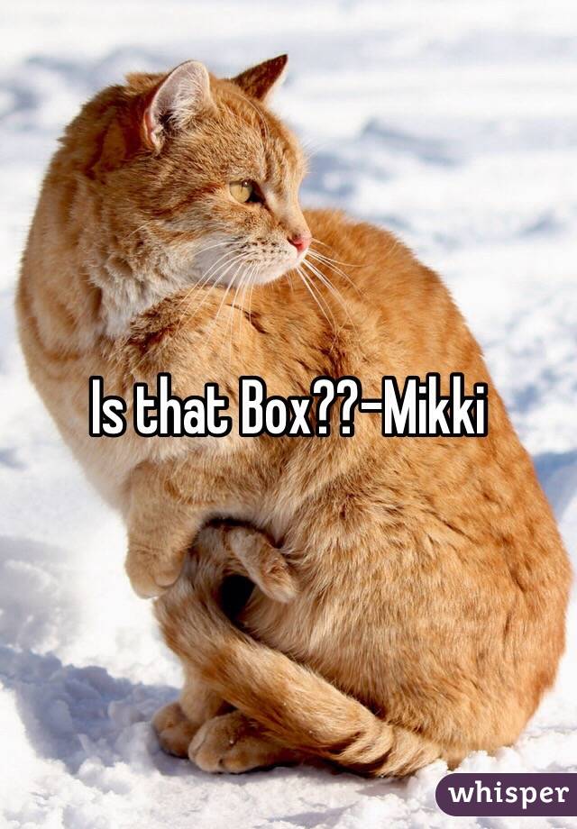 Is that Box??-Mikki
