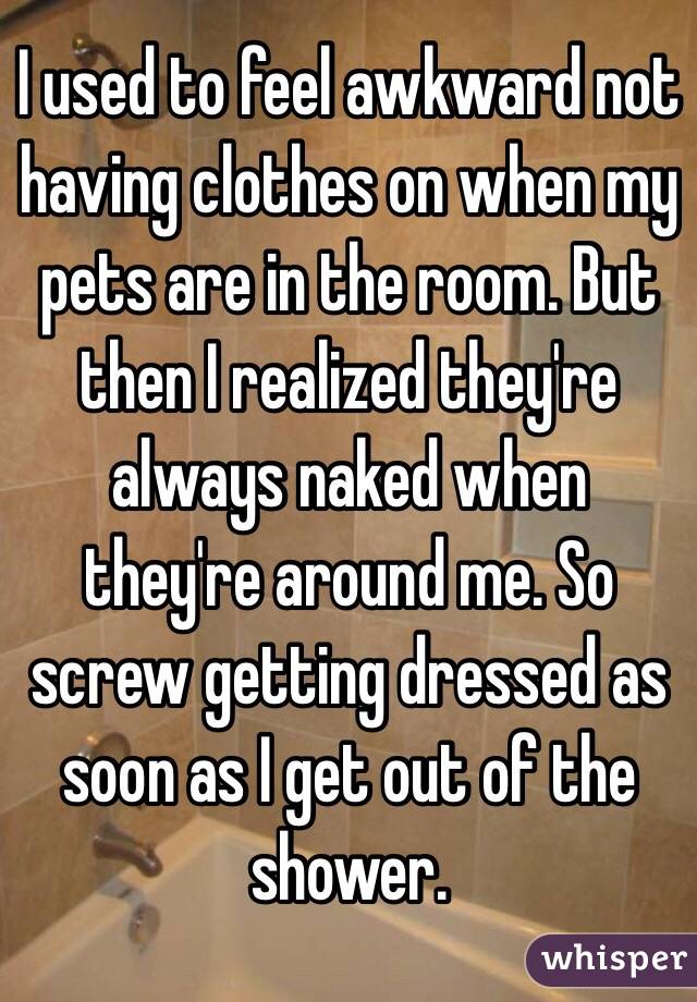 I used to feel awkward not having clothes on when my pets are in the room. But then I realized they're always naked when they're around me. So screw getting dressed as soon as I get out of the shower.