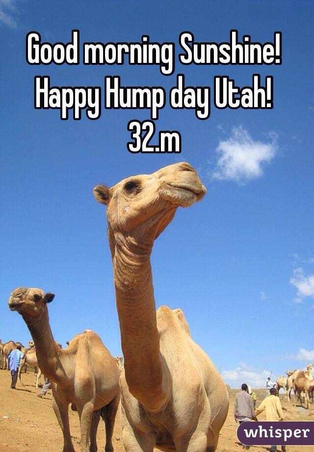 Good morning Sunshine!
Happy Hump day Utah!
32.m