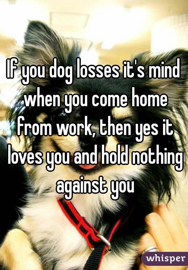 If you dog losses it's mind when you come home from work, then yes it loves you and hold nothing against you