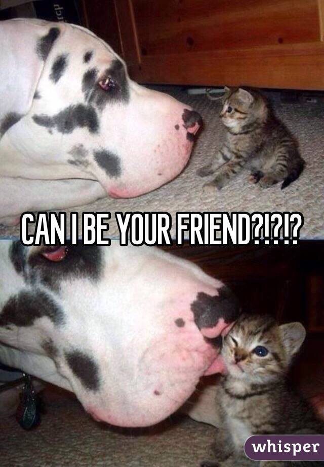 CAN I BE YOUR FRIEND?!?!?