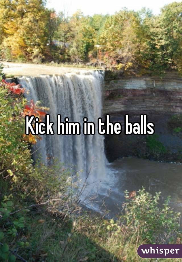 Kick him in the balls