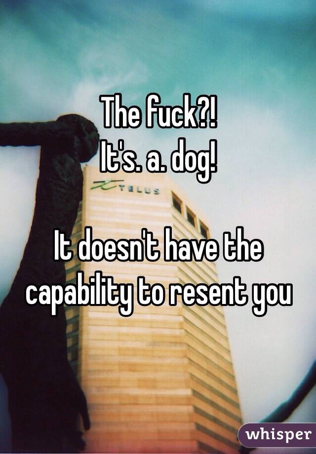 The fuck?!
It's. a. dog!

It doesn't have the capability to resent you

