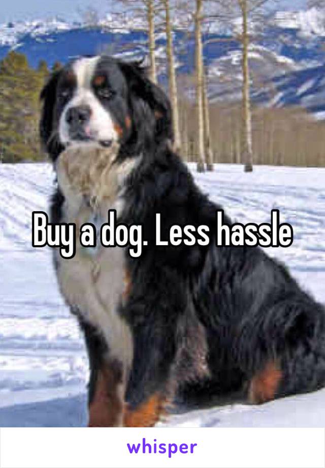 Buy a dog. Less hassle
