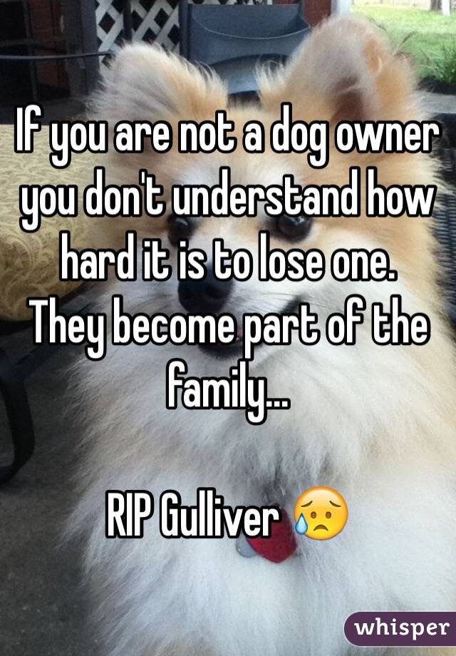 If you are not a dog owner you don't understand how hard it is to lose one. 
They become part of the family...

RIP Gulliver 😥