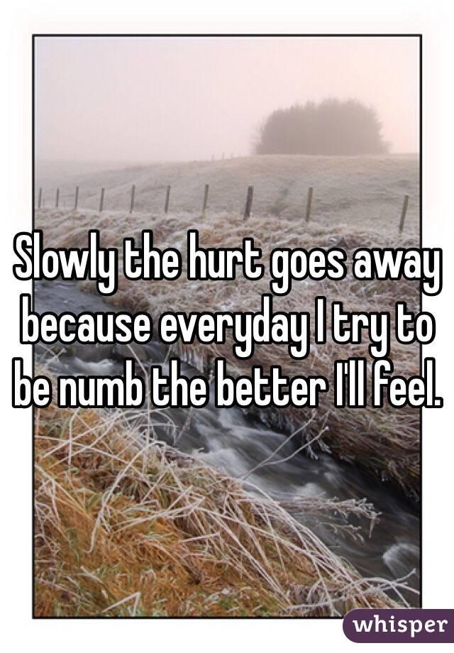 Slowly the hurt goes away because everyday I try to be numb the better I'll feel.