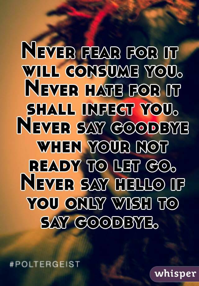 Never fear for it will consume you. Never hate for it shall infect you. Never say goodbye when your not ready to let go. Never say hello if you only wish to say goodbye. 