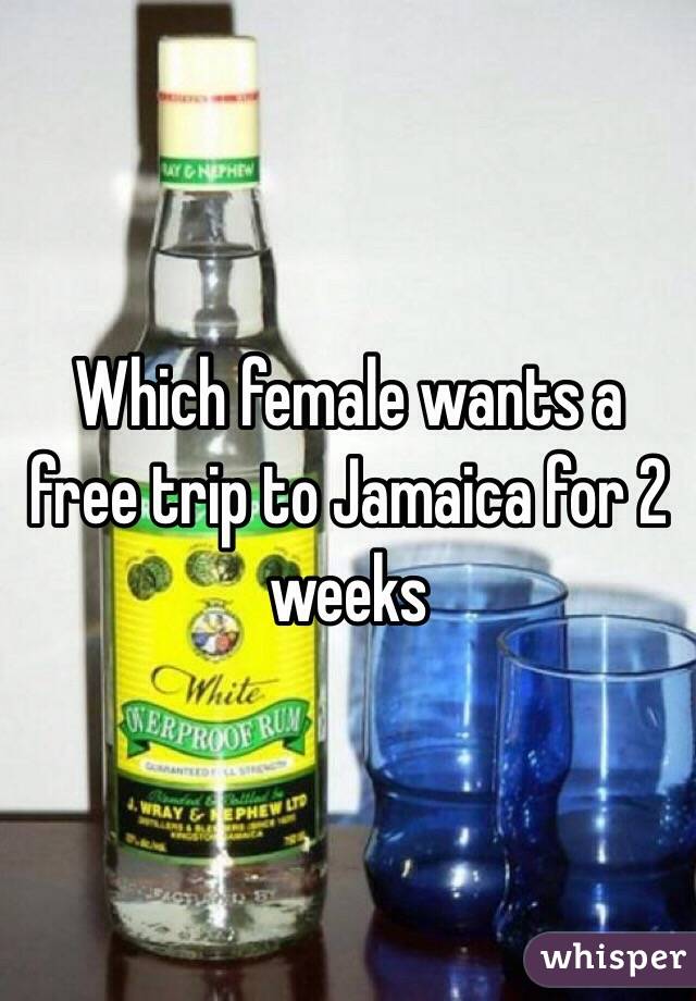 Which female wants a free trip to Jamaica for 2 weeks 