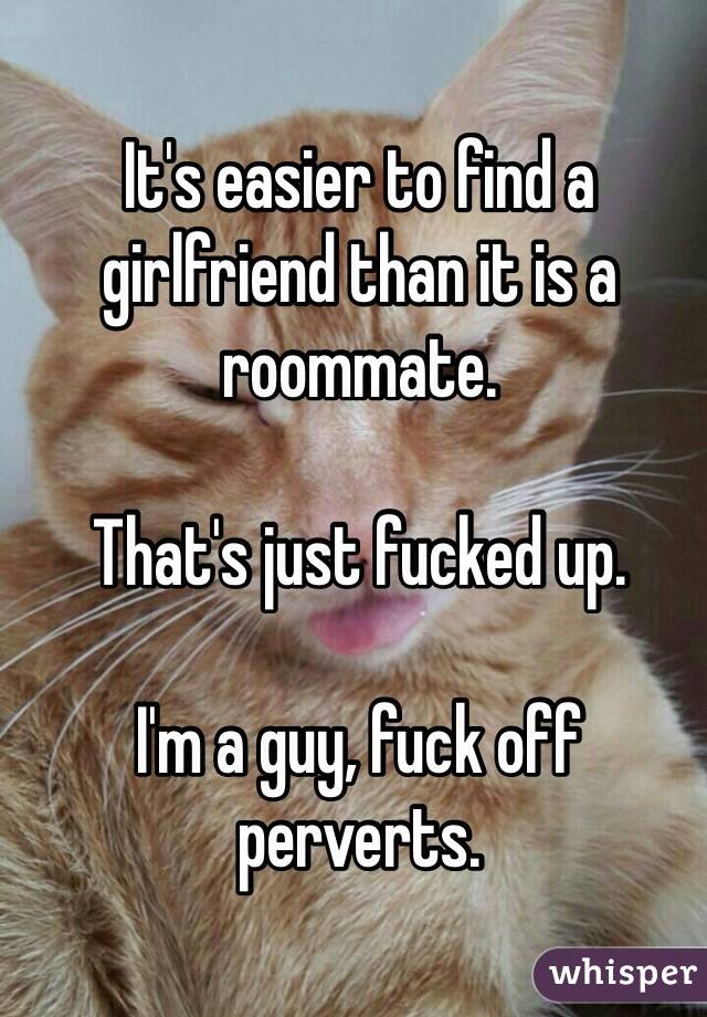 It's easier to find a girlfriend than it is a roommate.

That's just fucked up.

I'm a guy, fuck off perverts.