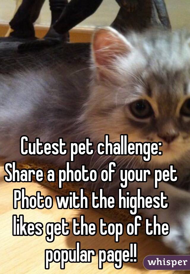 Cutest pet challenge:
Share a photo of your pet 
Photo with the highest likes get the top of the popular page!!