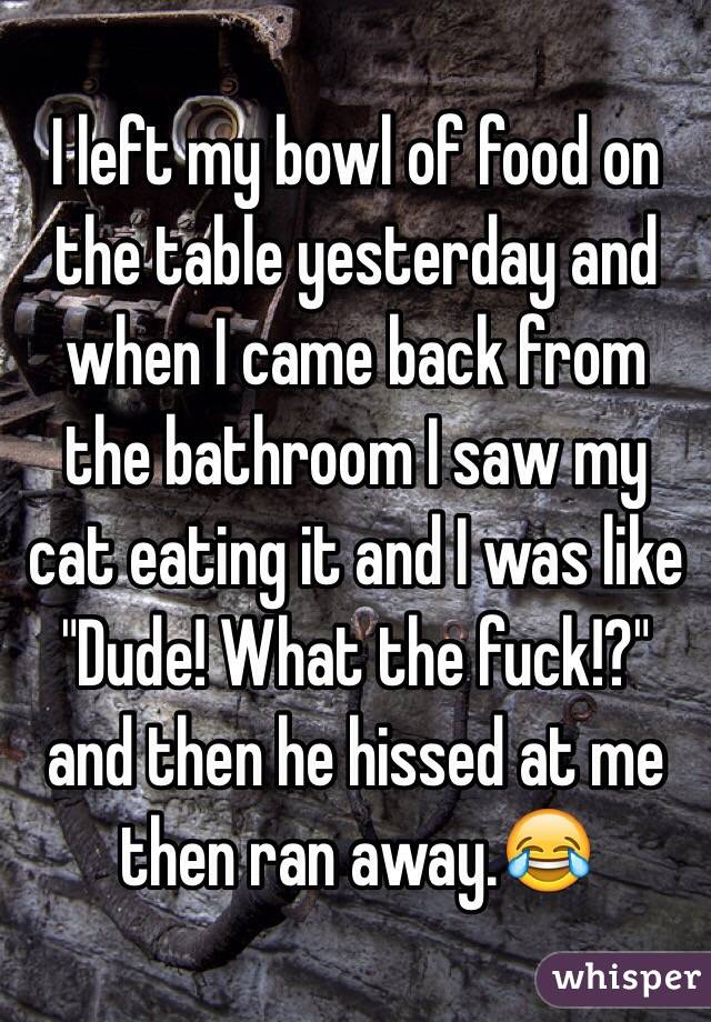 I left my bowl of food on the table yesterday and when I came back from the bathroom I saw my cat eating it and I was like "Dude! What the fuck!?" and then he hissed at me then ran away.😂