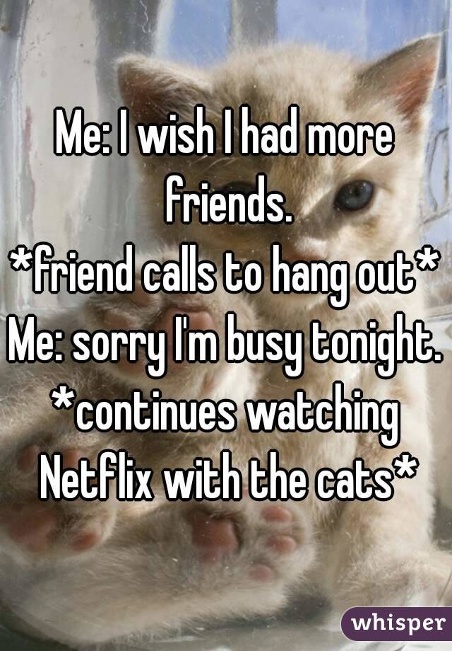 Me: I wish I had more friends.
*friend calls to hang out*
Me: sorry I'm busy tonight.
*continues watching Netflix with the cats*