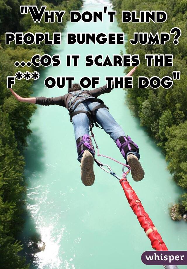 "Why don't blind people bungee jump?
...cos it scares the f*** out of the dog" 