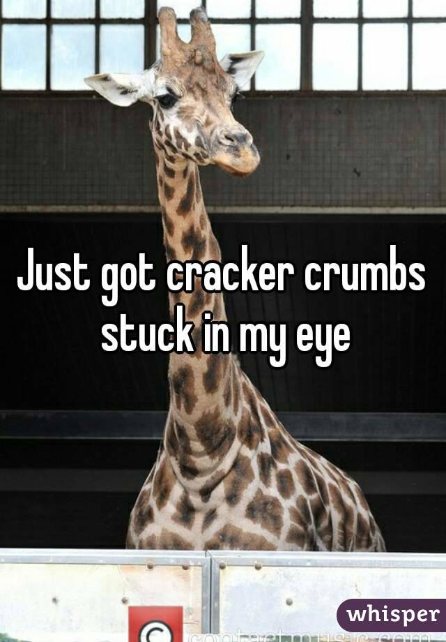 Just got cracker crumbs stuck in my eye