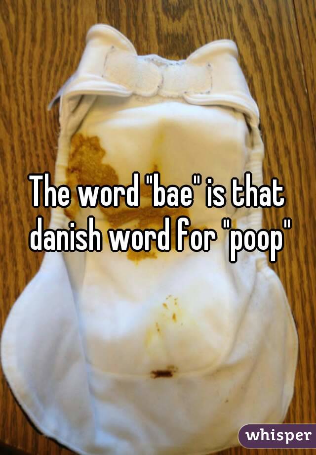 The word "bae" is that danish word for "poop"