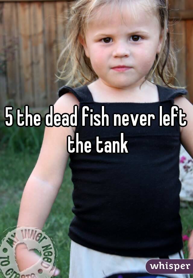 5 the dead fish never left the tank